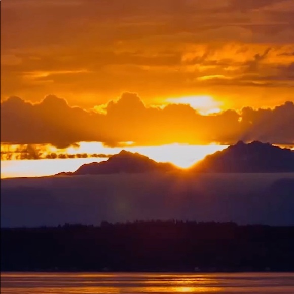 Meet your Posher, Rebecca - Picture 1 of 1